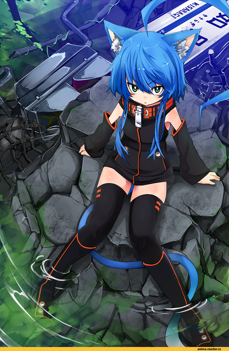 Anime Original, Animal Ears, neko, Anime