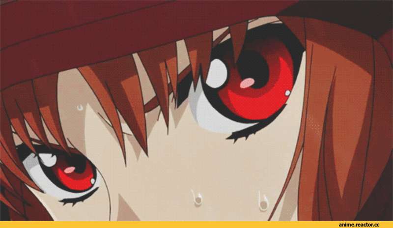 Horo, Spice and Wolf, Inumimi, Animal Ears, anime gif, Anime
