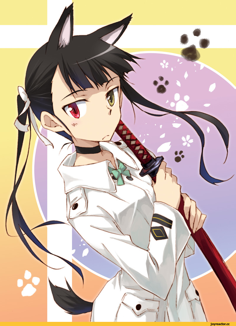 Strike Witches, Francesca Lucchini, sakamoto mio, Animal Ears, Inumimi, Agahari, Anime