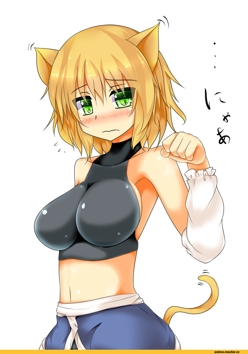 Touhou Project, Animal Ears, Неко, Mizuhashi Parsee, Anime