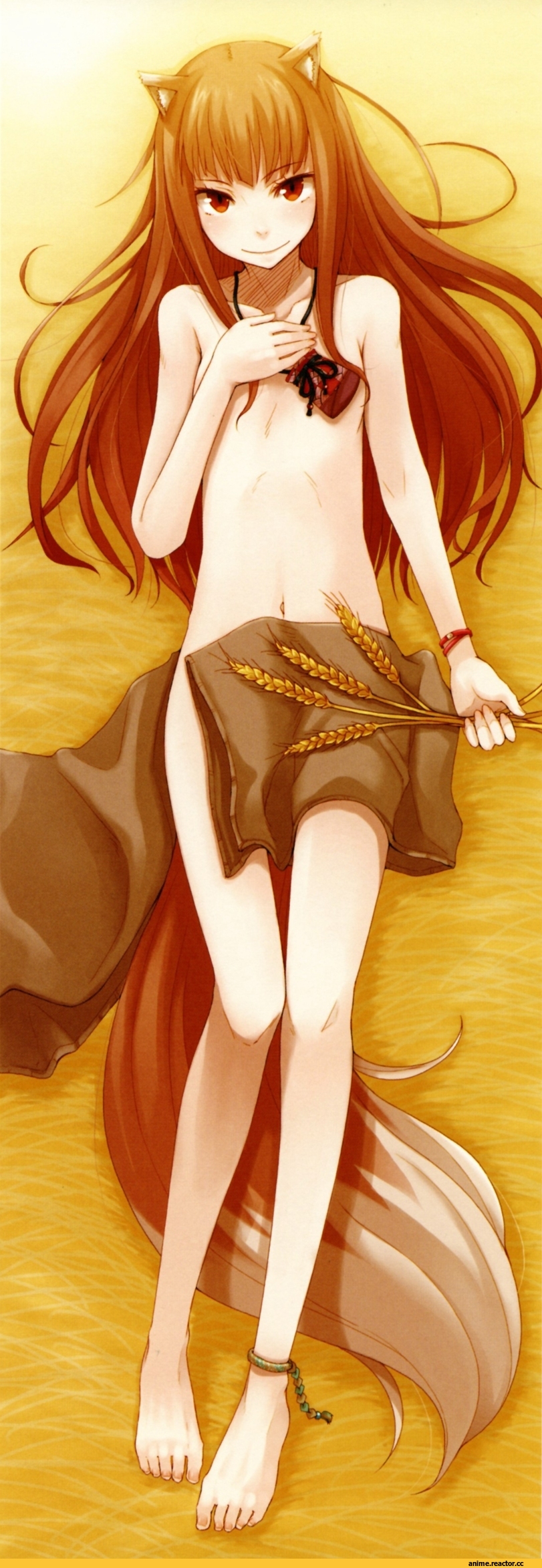 Holo, Spice and Wolf, Inumimi, Animal Ears, этот взгляд, Anime