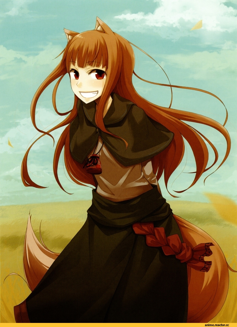 Holo, Spice and Wolf, Inumimi, Animal Ears, Anime