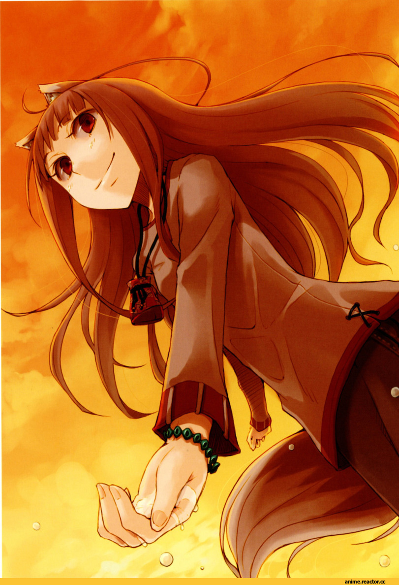Spice and Wolf, Inumimi, Animal Ears, Horo, красивые картинки, art, hd, Anime