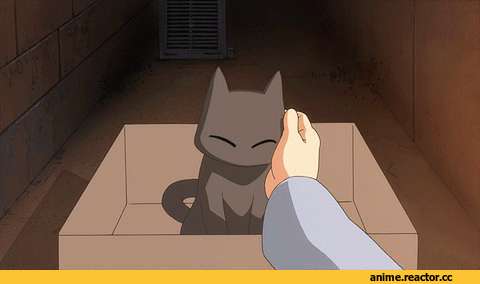Anime Гифки, Nichijou, neko, Animal Ears, sakamoto (nichijou), Anime