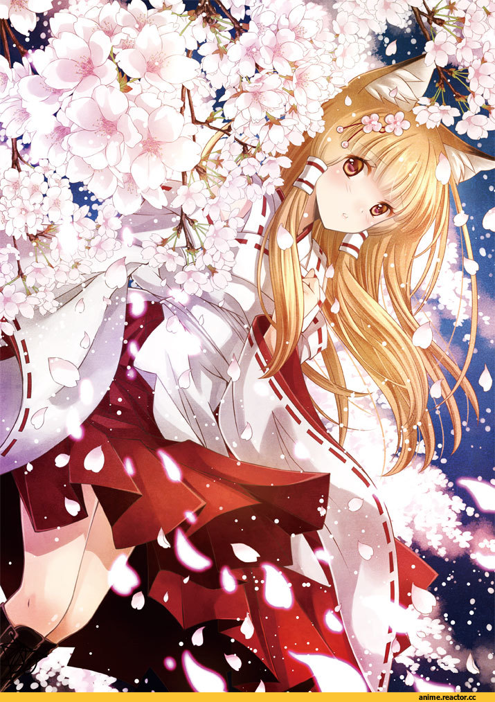Anime Original, Animal Ears, Kitsune, Anime