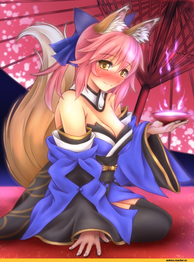 Fate/Extra, fate (srs), Caster (Fate/Extra), Kitsune, Animal Ears, Anime