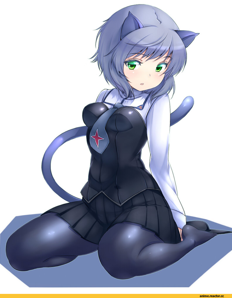sanya v litvyak, zizi (zz22), Неко, Animal Ears, Anime