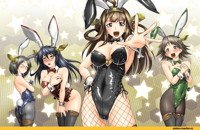 Kantai Collection, Haruna (Kantai Collection), hiei (kantai collection), Kirishima (Kantai Collection), Kongou (Kantai Collection), Usagimimi, Animal Ears, Anime