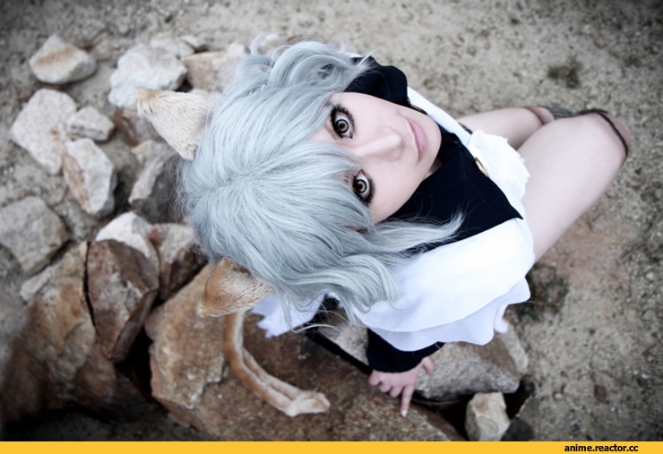 Anime Cosplay, Hunter X Hunter, Neferpitou, #Cosplay, разное, nekomimi, Animal Ears, Anime