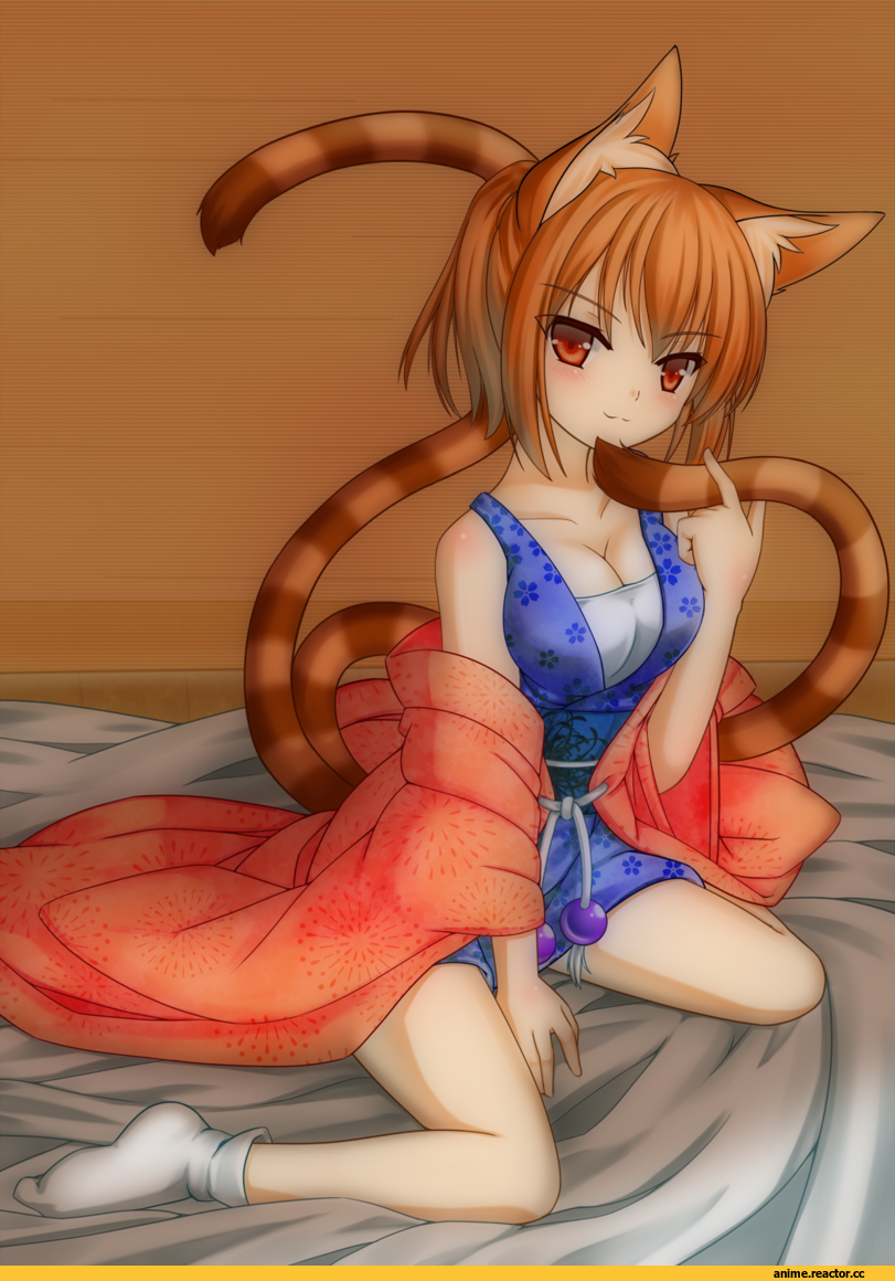 shikihime zoushi, Animal Ears, Nekomata, Anime