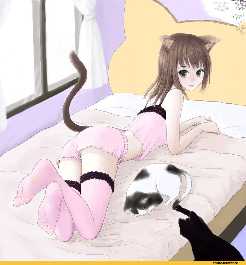 Anime Original, Неко, Animal Ears, Anime