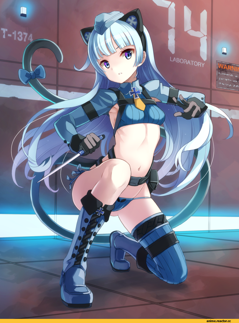 Anime Original, Animal Ears, neko, Опасные Няшки, Anime Няши, Anime