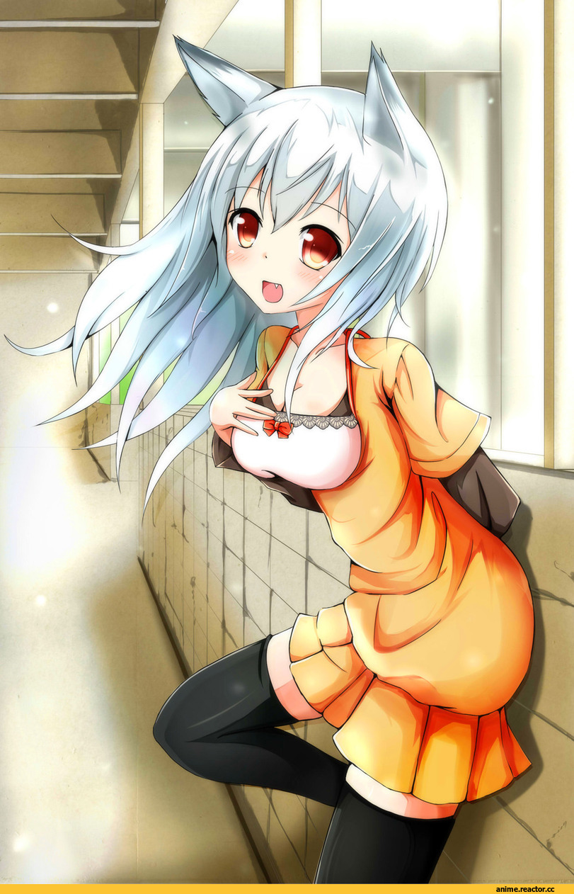 Anime Original, Неко, Animal Ears, Anime