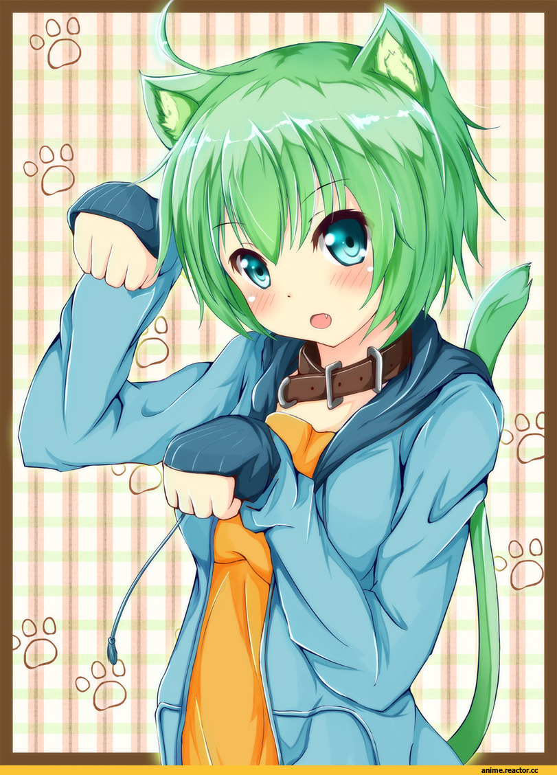 Anime Original, Неко, Animal Ears, Anime