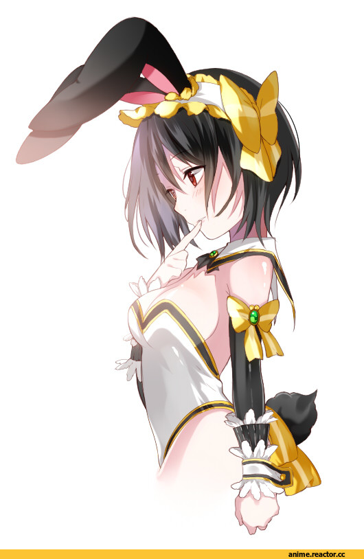 vermouth, dragon poker, Usagimimi, Animal Ears, Anime