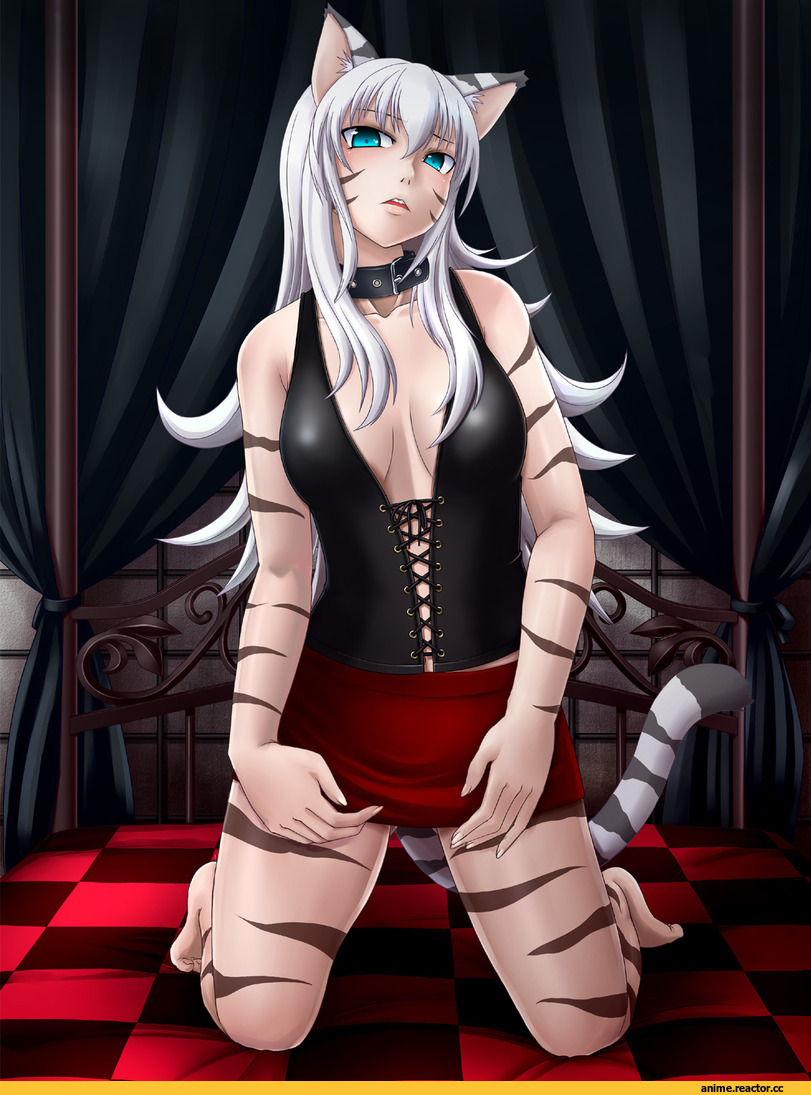 Anime Original, Animal Ears, neko, nokoppa, Anime