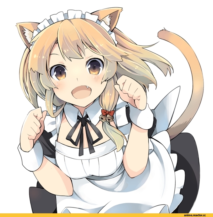 neko, Animal Ears, Maid, Anime