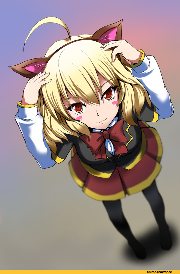 akuma no riddle, Animal Ears, hashiri nio, nekomimi, Anime