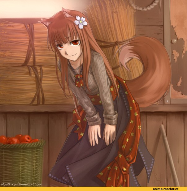 Spice and Wolf, Inumimi, Animal Ears, Anime