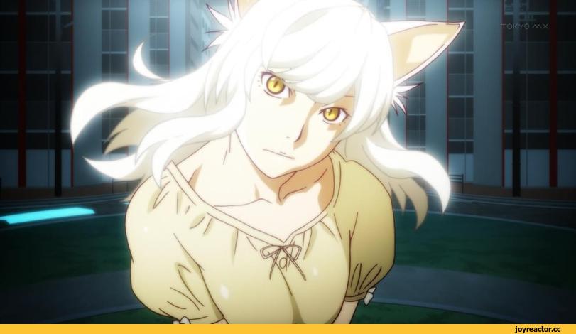 Black Hanekawa, Monogatari (Series), neko, Animal Ears, #Music&Atmosphere, разное, #OST, Sawari Neko, Anime
