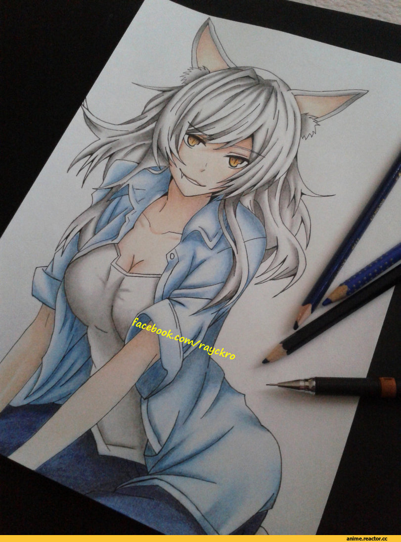 Tsubasa Hanekawa, Monogatari (Series), Неко, Animal Ears, Anime
