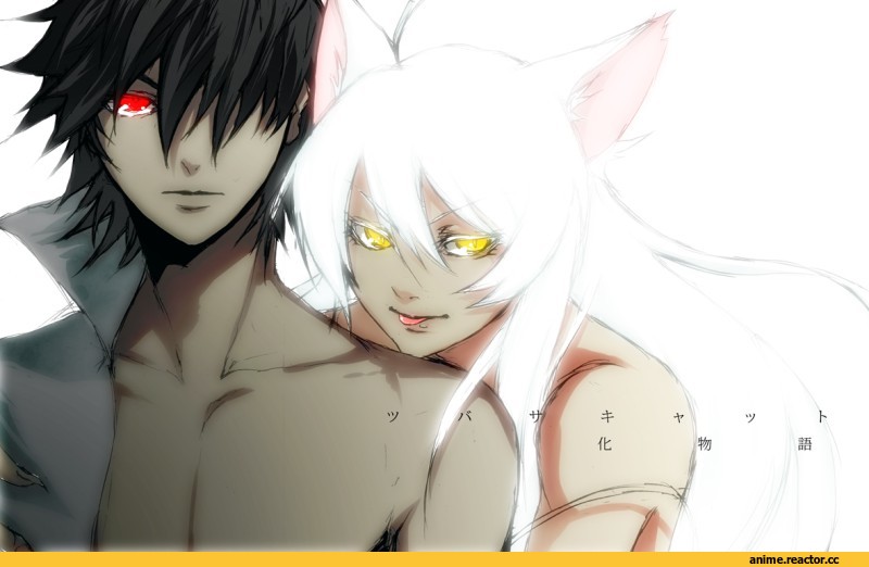 Araragi Koyomi, Monogatari (Series), Black Hanekawa, neko, Animal Ears, Anime Art, Anime