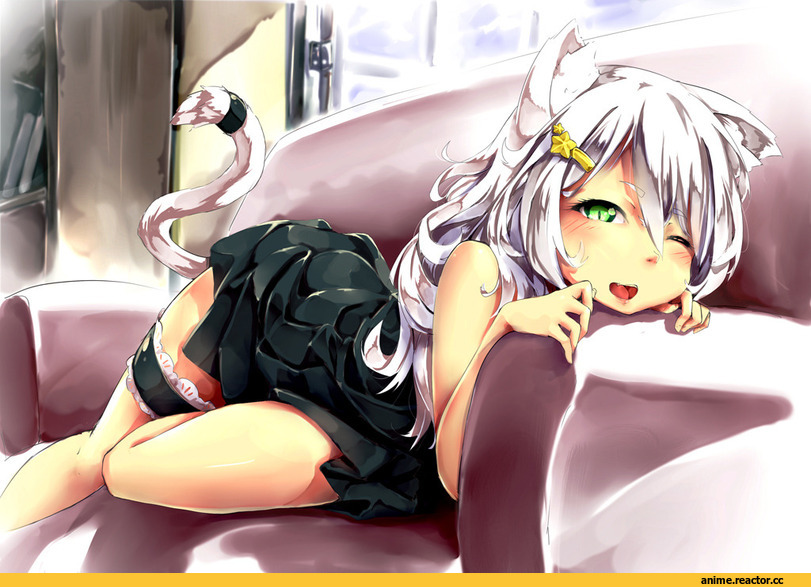 Anime Original, Animal Ears, Неко, Anime