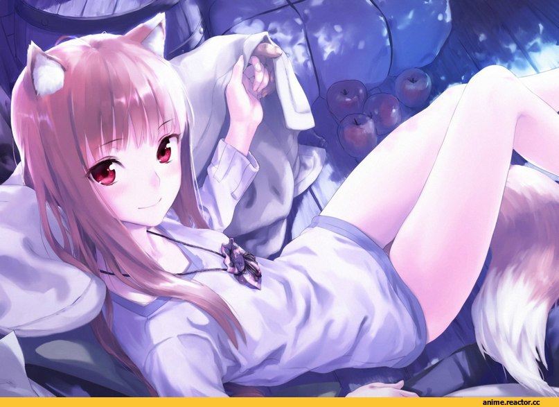 Spice and Wolf, Inumimi, Animal Ears, красивые картинки, Horo, Anime