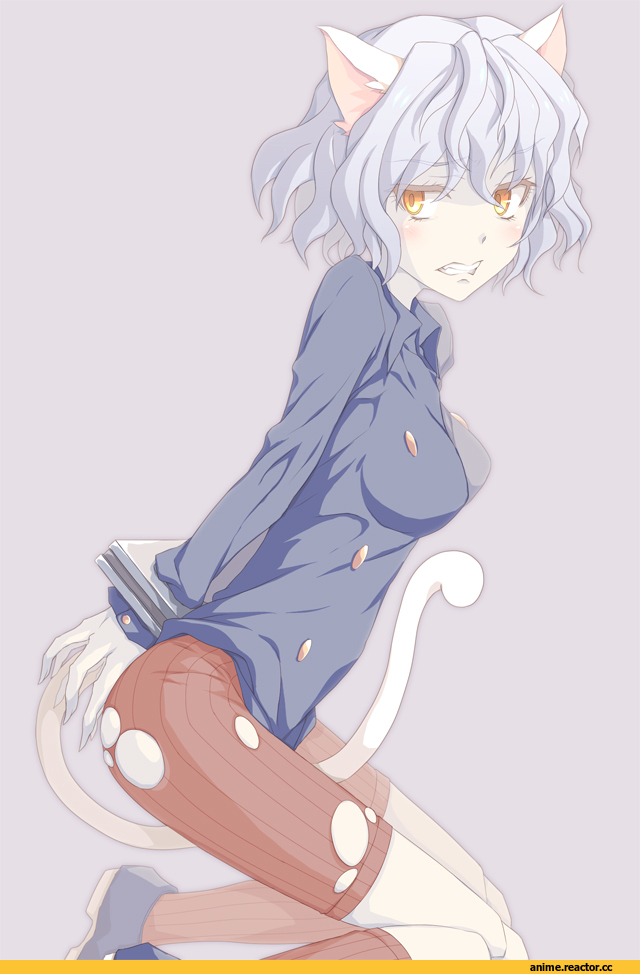 Hunter X Hunter, Nefelpitou, Неко, Animal Ears, Anime