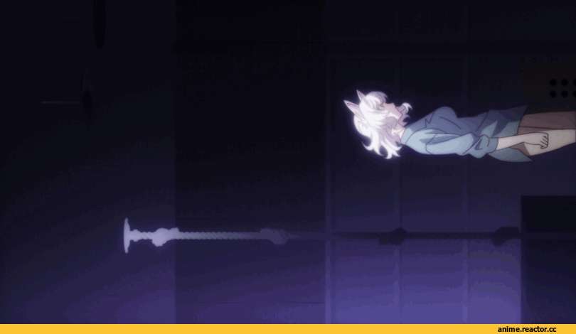 Oshino Shinobu, Monogatari (Series), Black Hanekawa, anime gif, Неко, Animal Ears, Anime