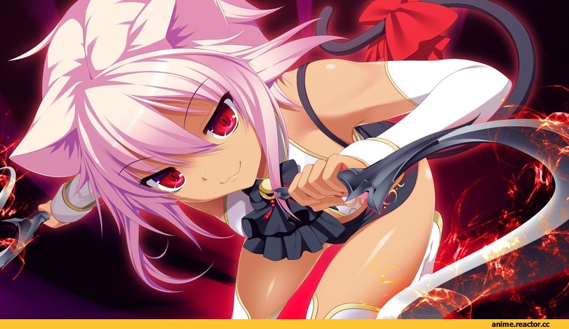 gensou no idea, Animal Ears, Неко, Anime