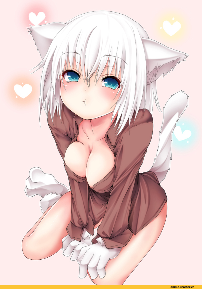 Anime Original, Animal Ears, neko, Anime