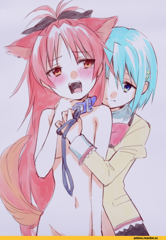Miki Sayaka, Mahou Shoujo Madoka Magica, Sakura Kyouko, Animal Ears, Inumimi, Anime