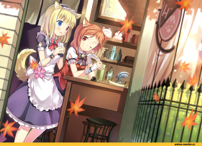 Anime Original, Animal Ears, neko, Inumimi, Anime