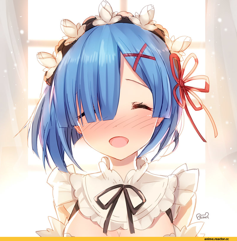 Bison Cangshu, Rem (re zero), Re Zero Kara Hajimeru Isekai Seikatsu, Anime