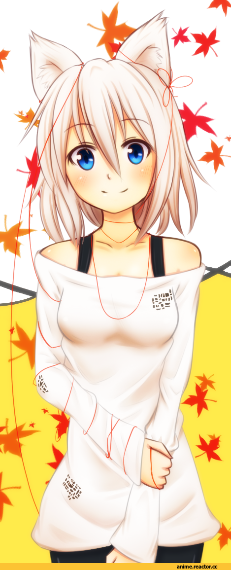 Inubashiri Momiji, Touhou Project, Animal Ears, Inumimi, Anime