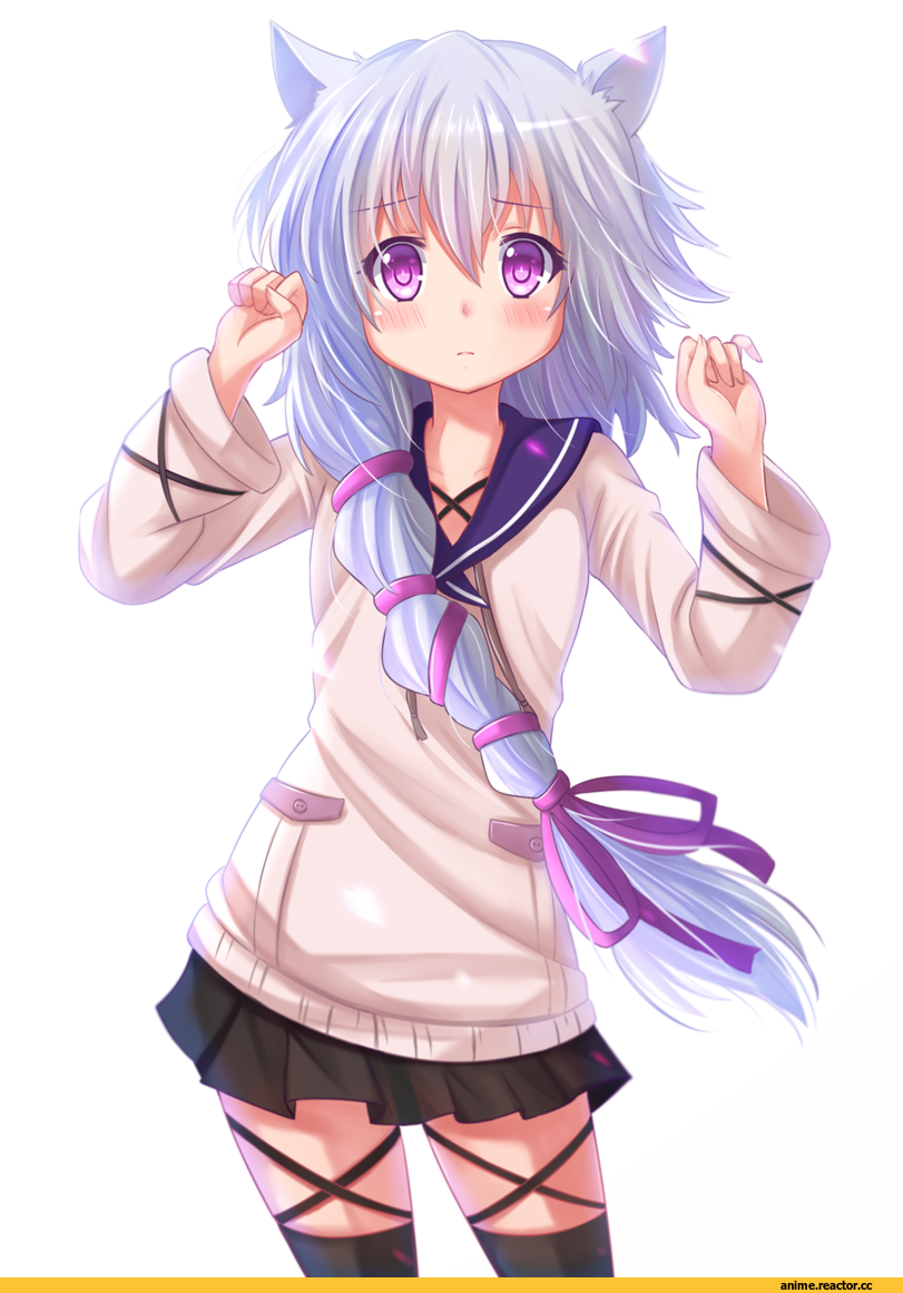neko, Animal Ears, Black Bullet, Midori Fuse, Anime