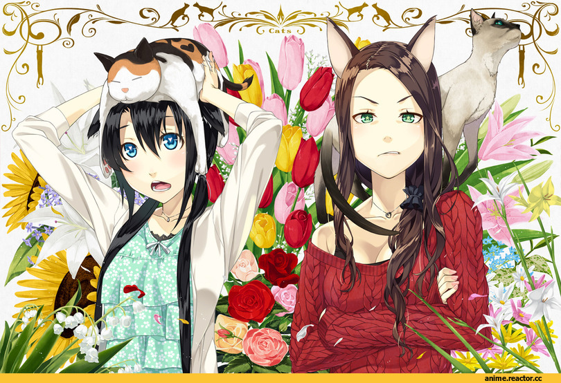 Anime Original, Неко, Animal Ears, Anime