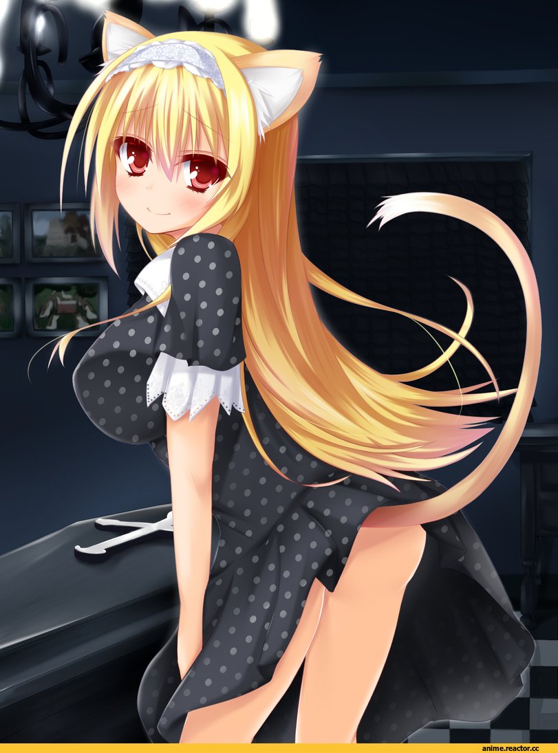 nicola cepheus, Dracu-riot!, Animal Ears, neko, Anime