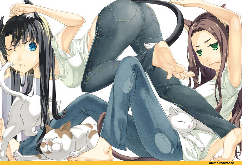 Anime Original, Kimura (Ykimu), Animal Ears, neko, Anime