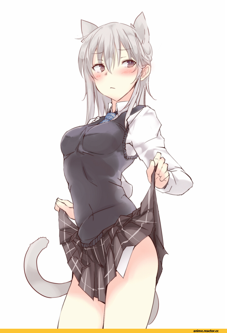 Anime Original, Animal Ears, Неко, Anime