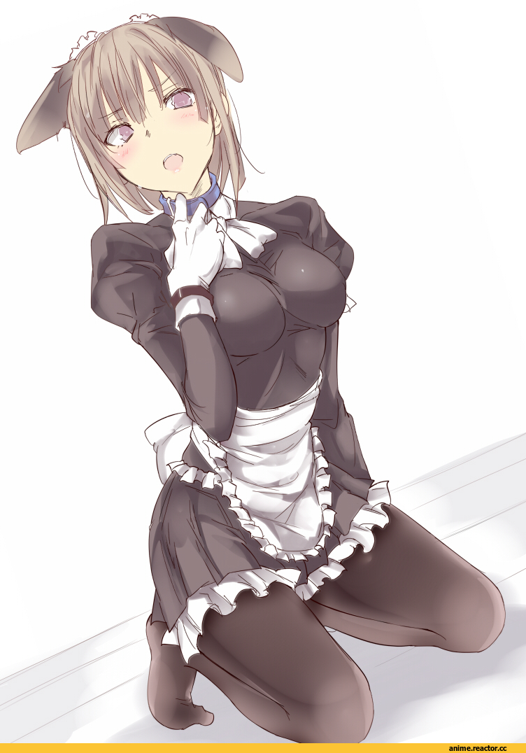 Anime Original, Animal Ears, Неко, Anime