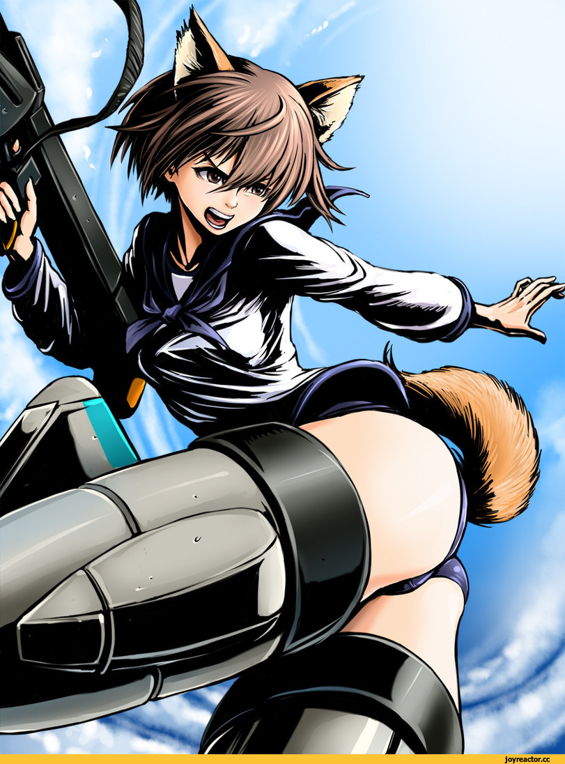 miyafuji yoshika, Strike Witches, Inumimi, Animal Ears, Anime