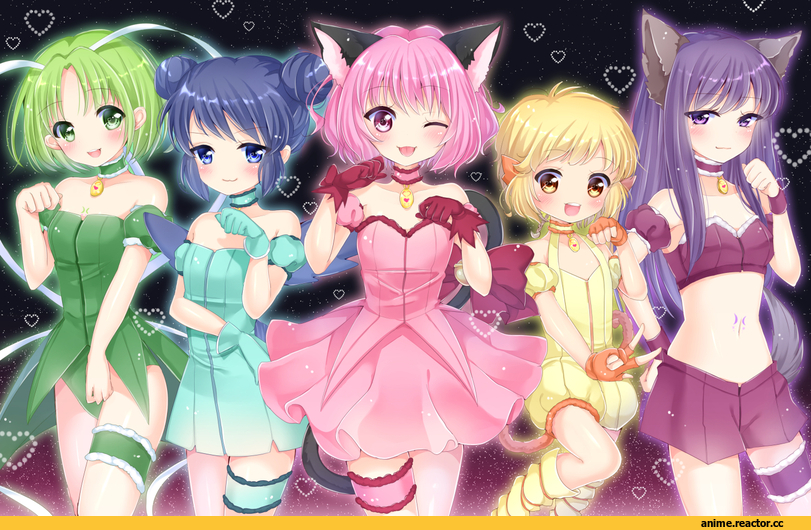 Tokyo Mew Mew, aizawa mint, fong pudding, fujiwara zakuro, midorikawa lettuce, momomiya ichigo, Неко, Animal Ears, Inumimi, Anime