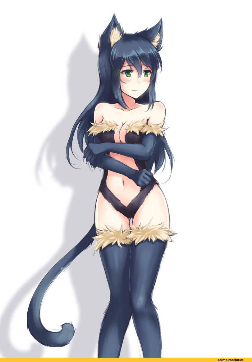 neko, Animal Ears, Anime