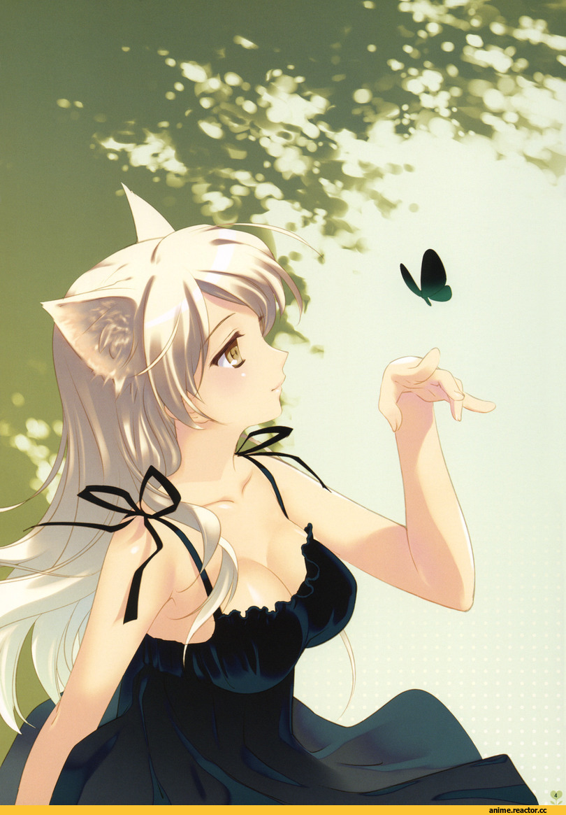 Hanekawa Tsubasa, Monogatari (Series), neko, Animal Ears, Anime