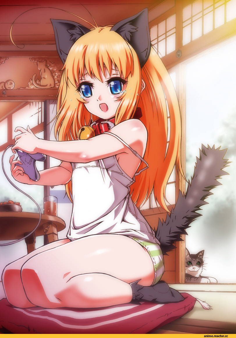 Anime Original, Animal Ears, Неко, Anime