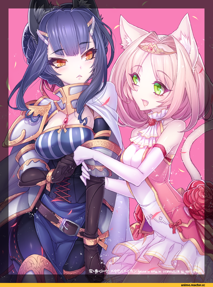 Anime Original, nekomimi, Animal Ears, Inumimi, dougan calpis con, Anime