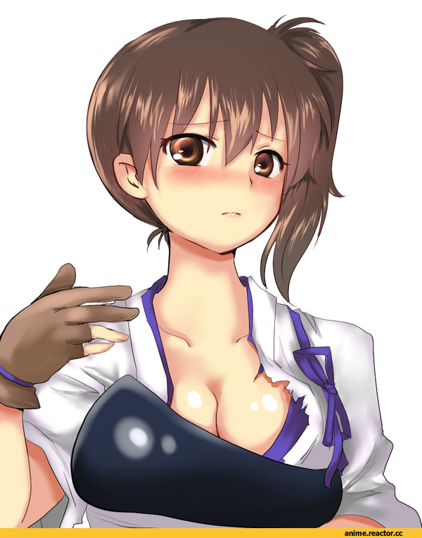Kantai Collection, kaga, Anime