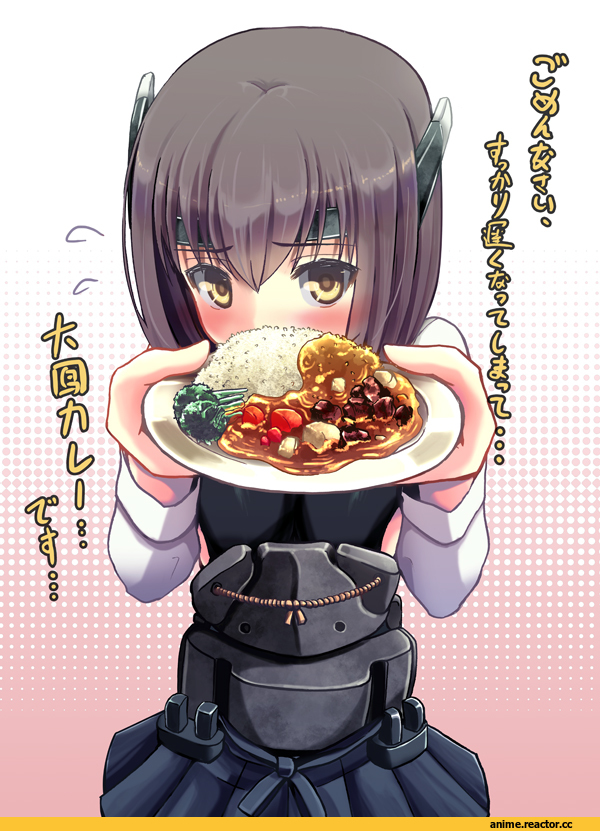 Kantai Collection, Taihou, Anime
